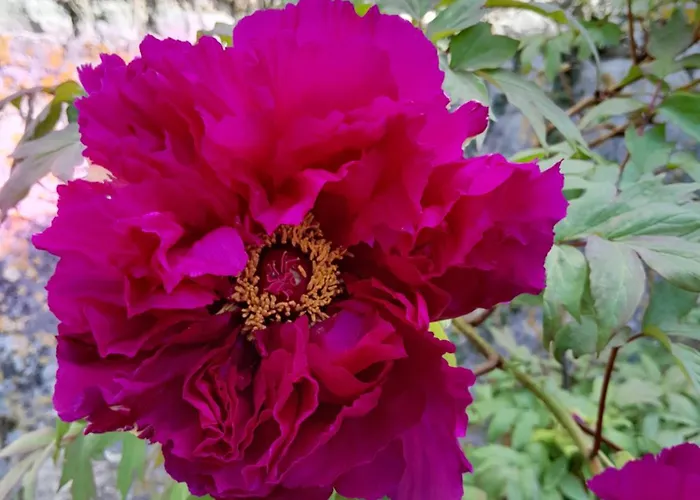 Chez Eugene Et Valerie Vue Sur Jardin